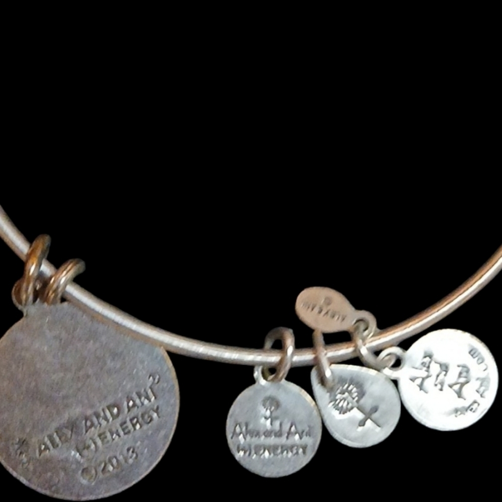 Alex and Ani - Silver Tone Wire Energy Infused Friend Charm Bracelet, Date 2013 - Picture 5 of 10